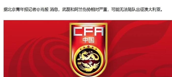 上港客場輸球原因_亞冠武磊進(jìn)球_武磊亞冠傷勢