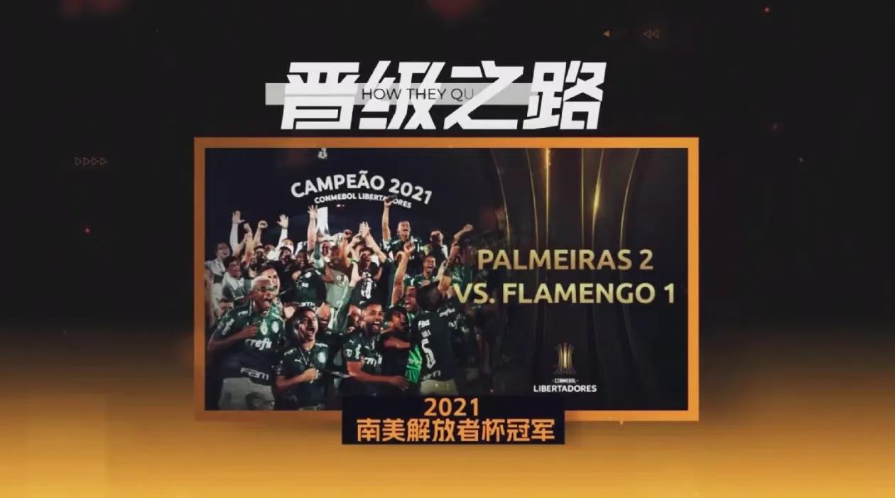 2025世俱杯決賽視頻_帕爾梅拉斯世俱杯決賽_2025國際足聯(lián)俱樂部世界杯